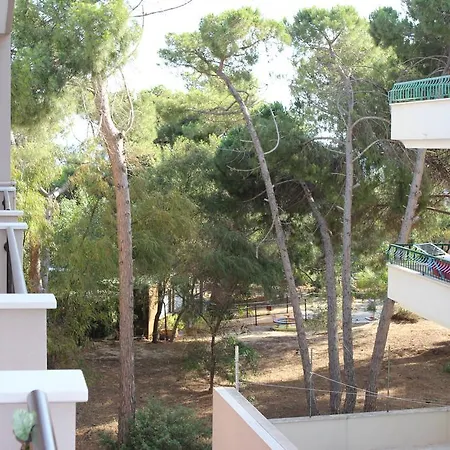 Orchidea Апартаменти